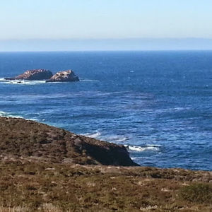 Meet your Posher, Doriteran